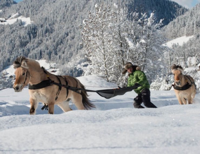  Balade a sensations en ski joering 